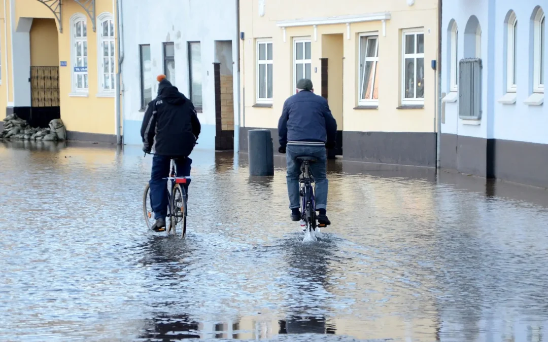 Borgersamling skal finde balancerne i den svære klimatilpasning til fremtidens vejr